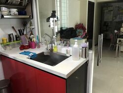 Blk 1F The Pinnacle@Duxton (Bukit Merah), HDB 5 Rooms #476739581